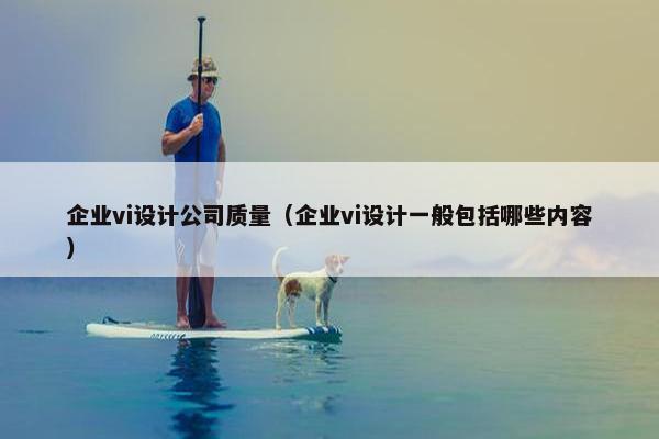 企业vi设计公司质量（企业vi设计一般包括哪些内容）