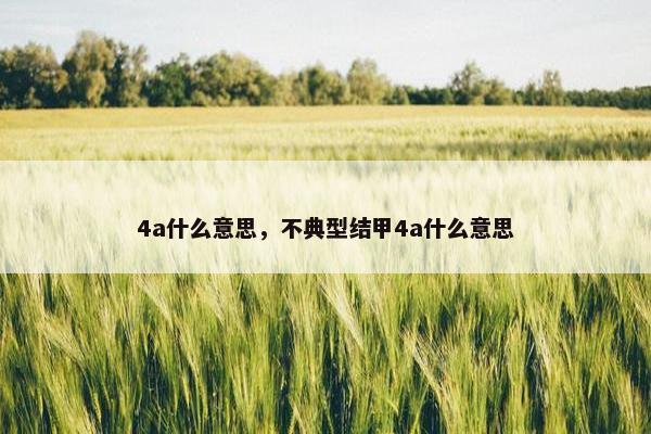 4a什么意思，不典型结甲4a什么意思