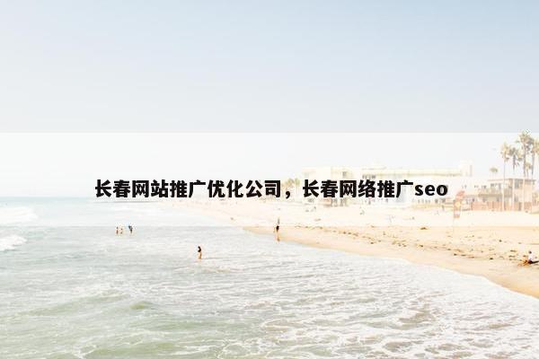 长春网站推广优化公司，长春网络推广seo