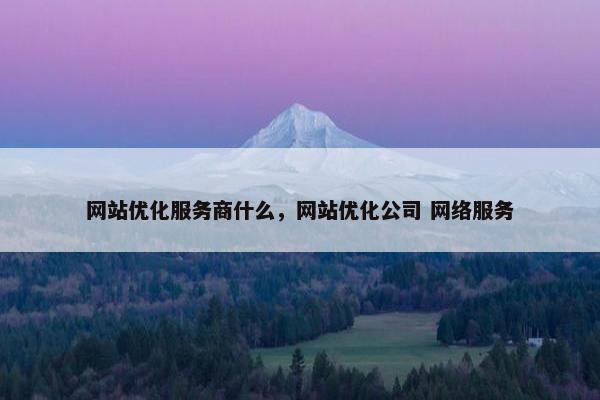 网站优化服务商什么，网站优化公司 网络服务