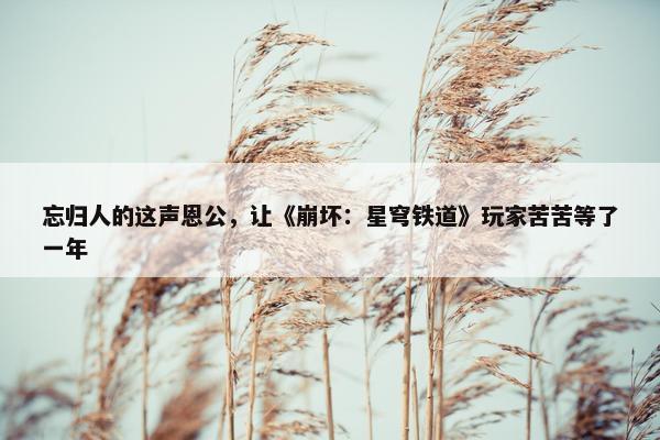 忘归人的这声恩公，让《崩坏：星穹铁道》玩家苦苦等了一年