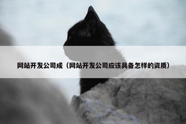 网站开发公司成（网站开发公司应该具备怎样的资质）