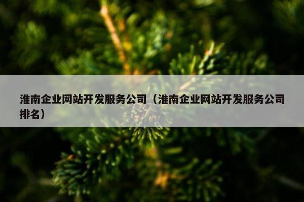 淮南企业网站开发服务公司（淮南企业网站开发服务公司排名）