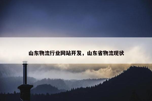 山东物流行业网站开发，山东省物流现状