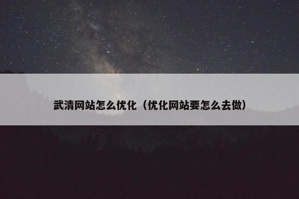 武清网站怎么优化（优化网站要怎么去做）