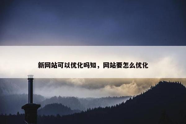 新网站可以优化吗知，网站要怎么优化