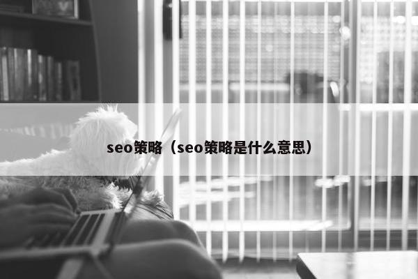 seo策略（seo策略是什么意思）