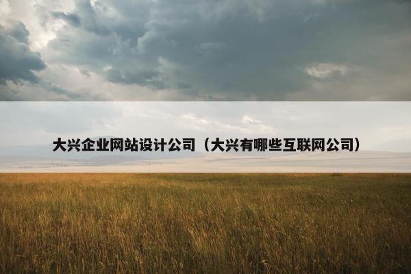 大兴企业网站设计公司（大兴有哪些互联网公司）