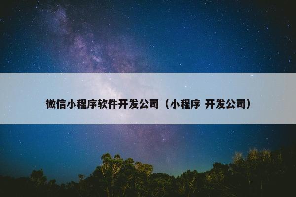 微信小程序软件开发公司（小程序 开发公司）