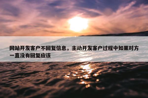 网站开发客户不回复信息，主动开发客户过程中如果对方一直没有回复应该