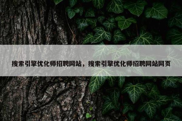 搜索引擎优化师招聘网站，搜索引擎优化师招聘网站网页