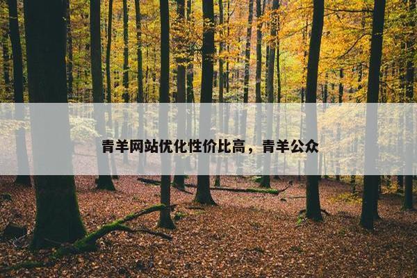 青羊网站优化性价比高，青羊公众