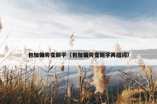 包加偏旁变新字（包加偏旁变新字再组词）