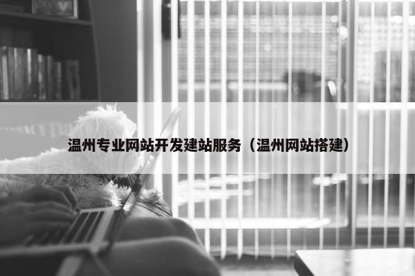 温州专业网站开发建站服务（温州网站搭建）