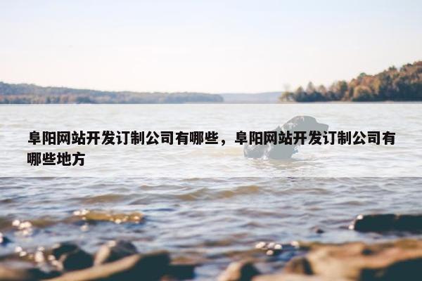 阜阳网站开发订制公司有哪些，阜阳网站开发订制公司有哪些地方