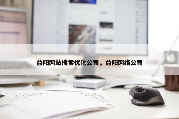 益阳网站搜索优化公司，益阳网络公司