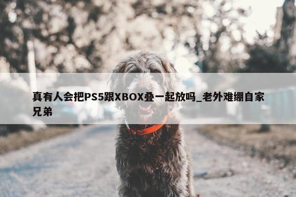 真有人会把PS5跟XBOX叠一起放吗_老外难绷自家兄弟