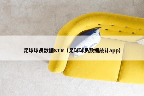 足球球员数据STR（足球球员数据统计app）