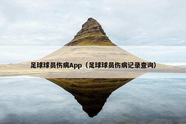 足球球员伤病App（足球球员伤病记录查询）