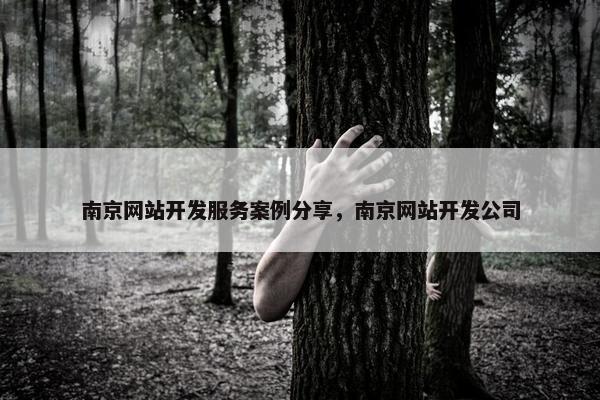 南京网站开发服务案例分享，南京网站开发公司