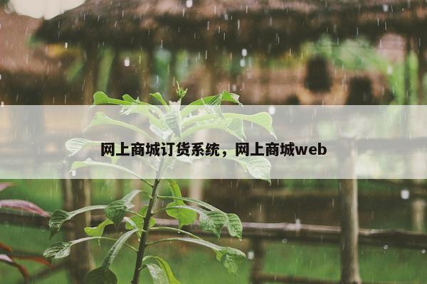 网上商城订货系统，网上商城web