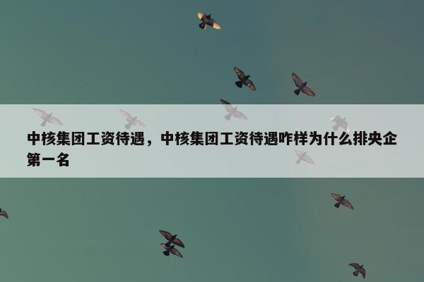 中核集团工资待遇，中核集团工资待遇咋样为什么排央企第一名