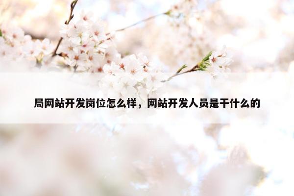 局网站开发岗位怎么样，网站开发人员是干什么的