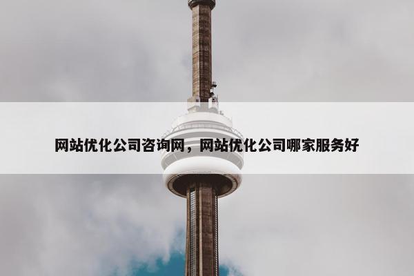 网站优化公司咨询网，网站优化公司哪家服务好