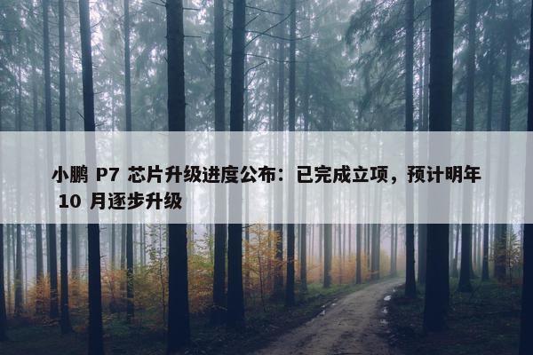 小鹏 P7 芯片升级进度公布：已完成立项，预计明年 10 月逐步升级