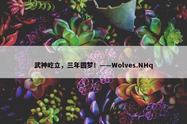 武神屹立，三年圆梦！——Wolves.NHq