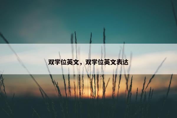 双学位英文，双学位英文表达