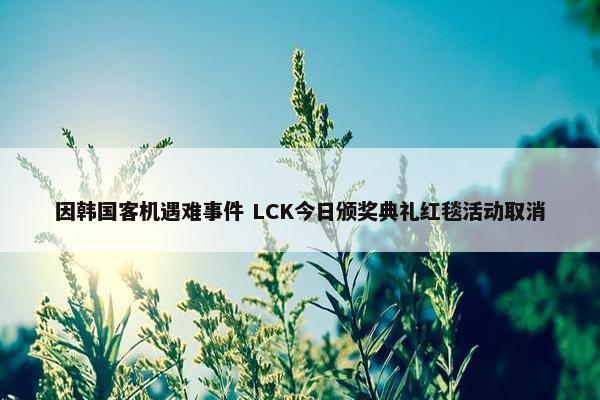 因韩国客机遇难事件 LCK今日颁奖典礼红毯活动取消