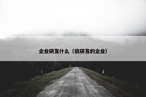 企业研发什么（搞研发的企业）