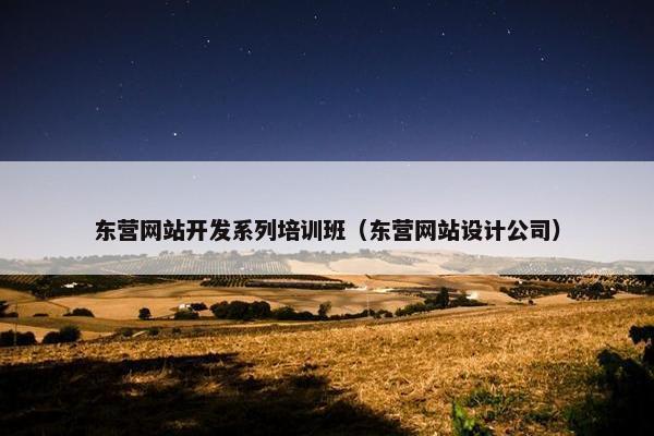 东营网站开发系列培训班（东营网站设计公司）