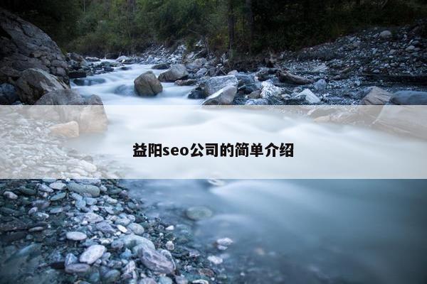 益阳seo公司的简单介绍