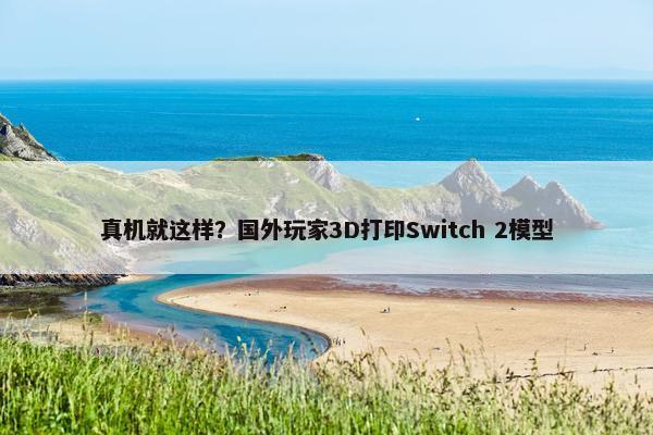 真机就这样？国外玩家3D打印Switch 2模型