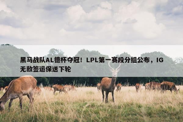 黑马战队AL德杯夺冠！LPL第一赛段分组公布，IG无敌签运保送下轮