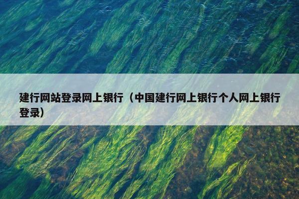 建行网站登录网上银行（中国建行网上银行个人网上银行登录）