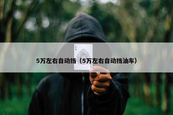 5万左右自动挡（5万左右自动挡油车）