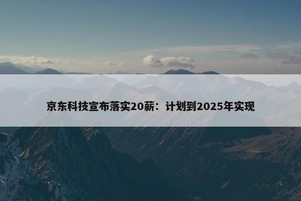 京东科技宣布落实20薪：计划到2025年实现