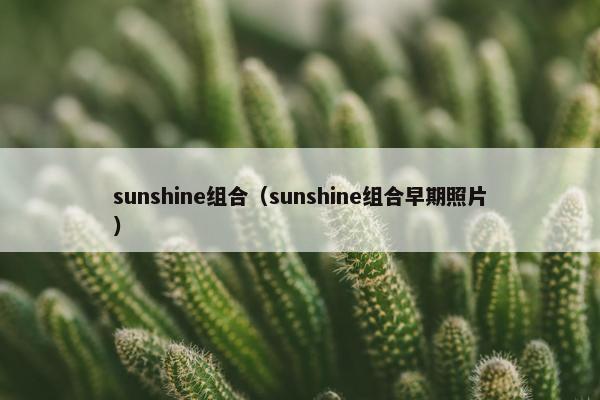 sunshine组合（sunshine组合早期照片）