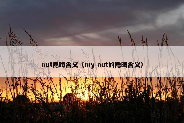 nut隐晦含义（my nut的隐晦含义）