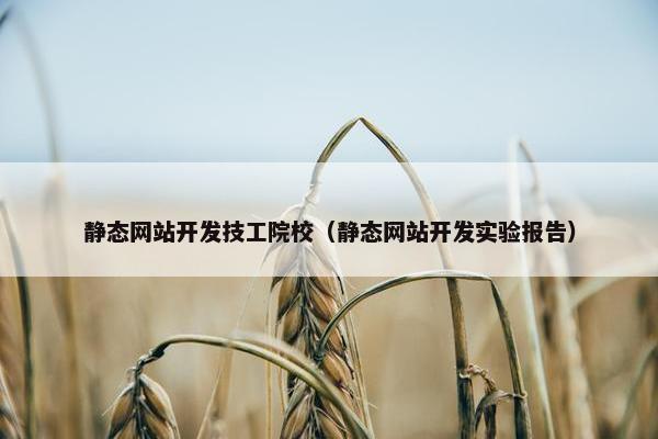 静态网站开发技工院校（静态网站开发实验报告）