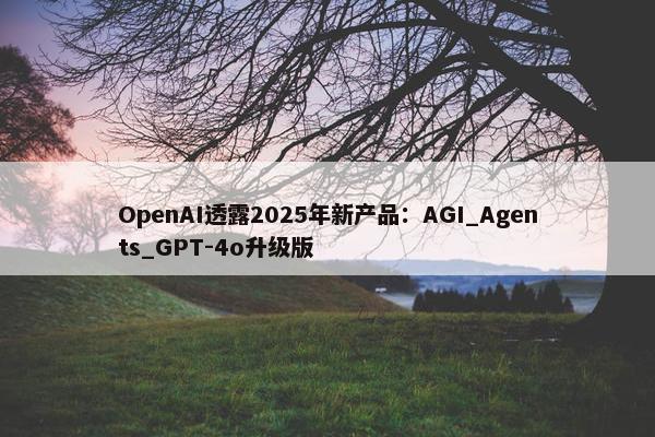 OpenAI透露2025年新产品：AGI_Agents_GPT-4o升级版