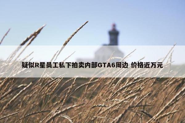 疑似R星员工私下拍卖内部GTA6周边 价格近万元