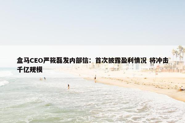 盒马CEO严筱磊发内部信：首次披露盈利情况 将冲击千亿规模