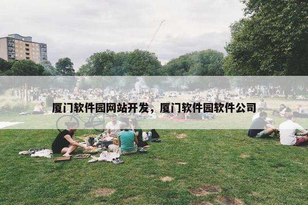 厦门软件园网站开发，厦门软件园软件公司