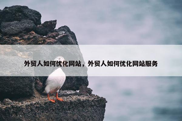 外贸人如何优化网站，外贸人如何优化网站服务