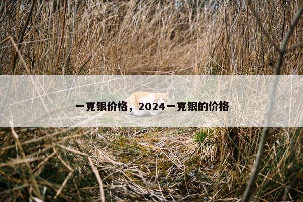 一克银价格，2024一克银的价格