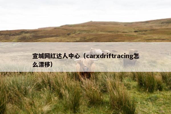 宣城网红达人中心（carxdriftracing怎么漂移）